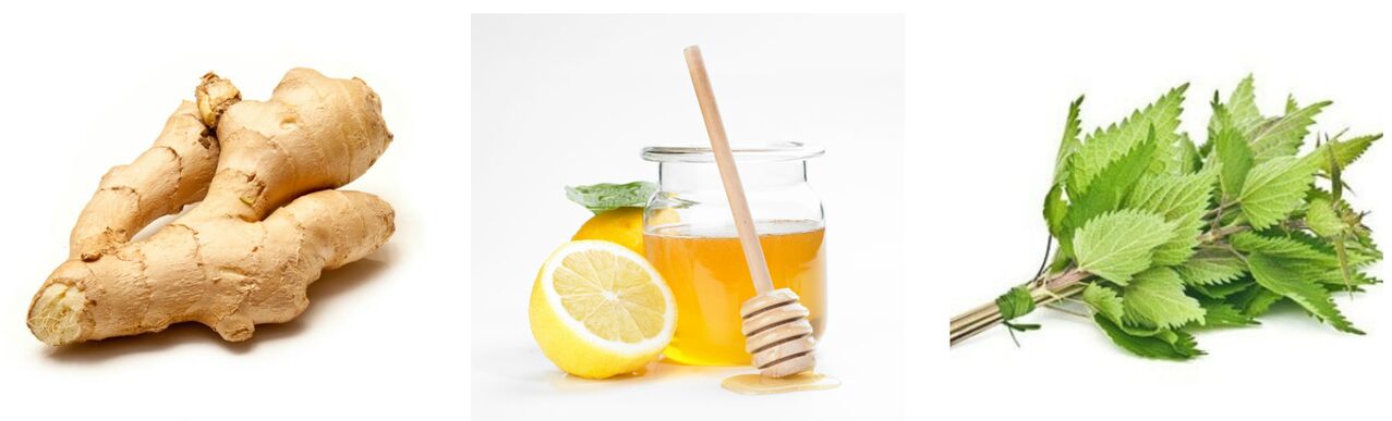 Ginger of Honey pokrzywa